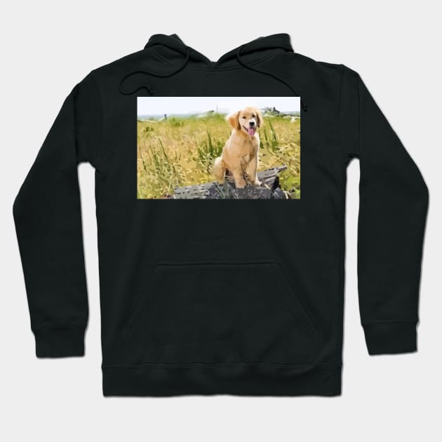 Labrador Puppy Digital Painting Hoodie by gktb